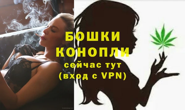 ГАЛЛЮЦИНОГЕННЫЕ ГРИБЫ Белоозёрский