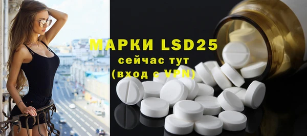 ГАЛЛЮЦИНОГЕННЫЕ ГРИБЫ Белоозёрский
