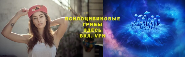 прущий лед Белокуриха