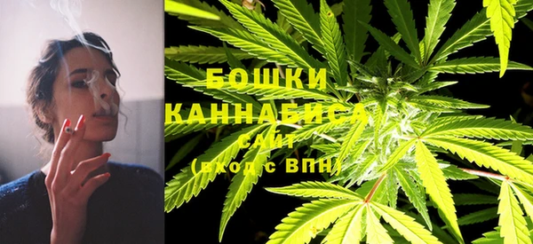 прущий лед Белокуриха