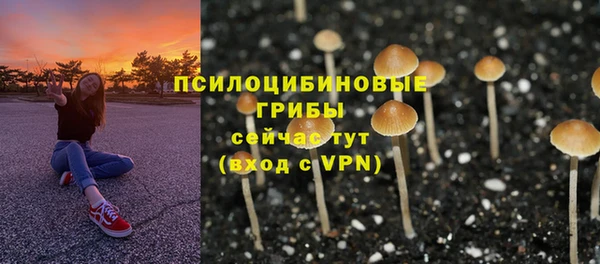 МДПВ Богородск
