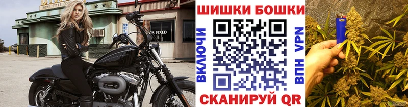 Купить Карачев Конопля планчик